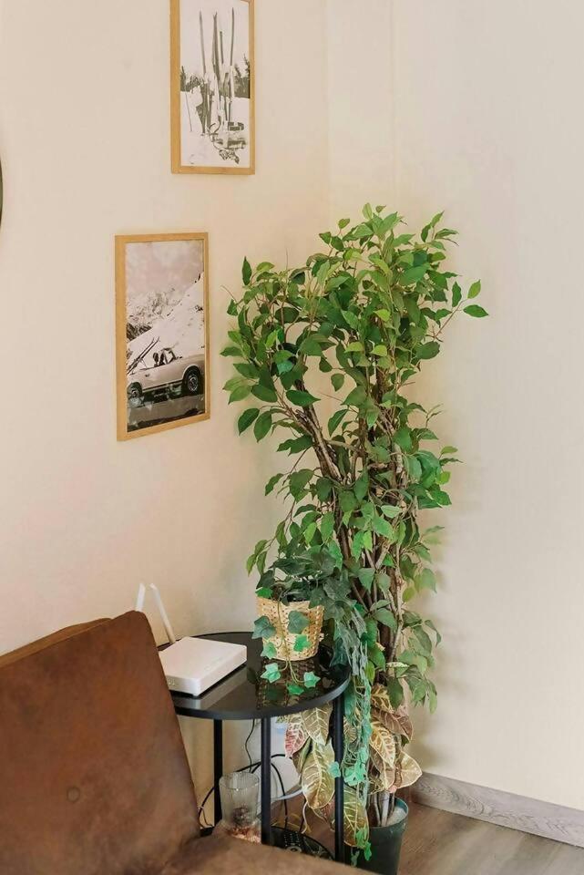 萨连特加列戈La Casita Del Arbol公寓 外观 照片